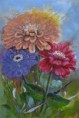 /album/blumen/zinnien-jpg/